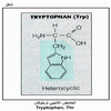    Tryptophan, Thr