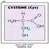    Cysteine, Cys