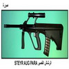   STEYR AUG Para